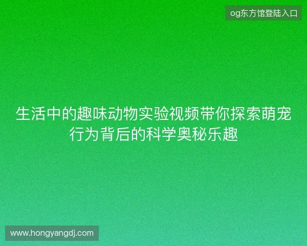 生活中的趣味动物实验视频带你探索萌宠行为背后的科学奥秘乐趣 生活中的趣味动物实验视频带你探索萌宠行为背后的科学奥秘乐趣